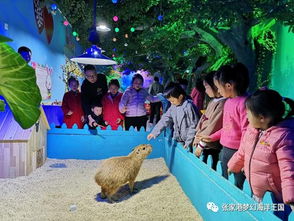 南昌新动物园：萌宠互动乐园， 亲子游玩天堂