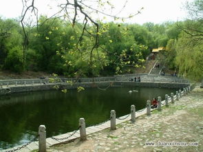 6. 龙潭山公园， 爬上去腿得酸两天