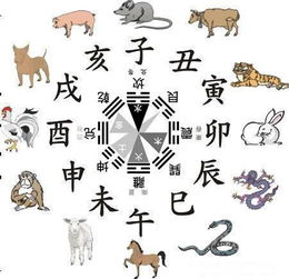各生肖吉利楼层解析