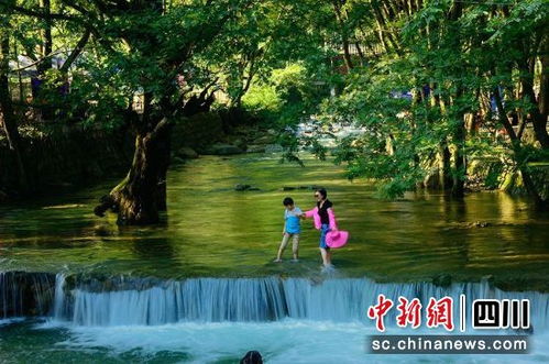 五一观雾山周末特惠——亲子游到底要花多少钱？