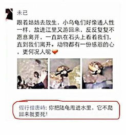 文艺翻车：乔斐然、乔润泽