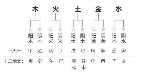 八字中犯六害具体对应哪些五行元素？六害在八字中是什么意思？