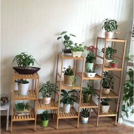 风水花架用什么材质好,风水花架用什么材质好