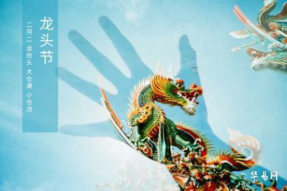 童字在五行中究竟属于哪个属性？五行属性具体是什么？