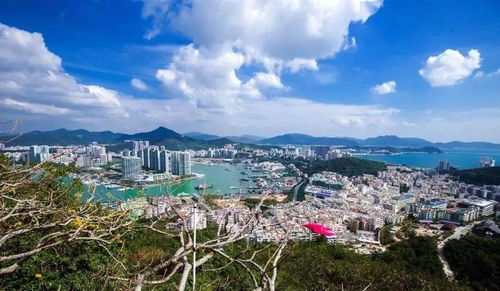 震惊！福州土著爆出鼓山秘密玩法 2026年黄历显示这天去最吉利