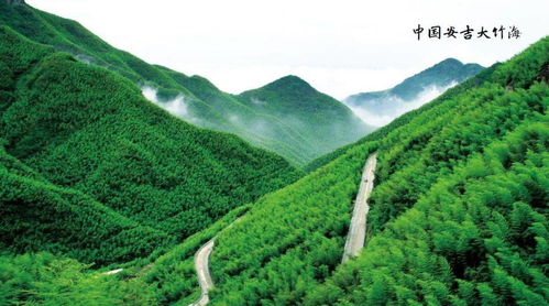 找路比登天还难：导航和村民的双重暴击