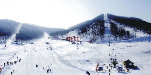 莲花山滑雪场：雪域风情， 激情无限 (摔跤摔得很惨...)