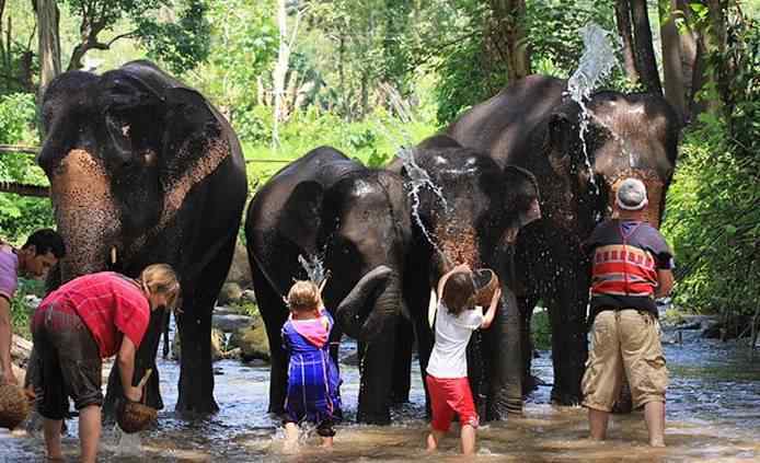 第二日：大象之旅，感受生命的温度（或着说热得要命）
