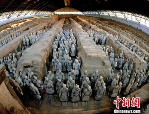 免费政策的幻想与现实