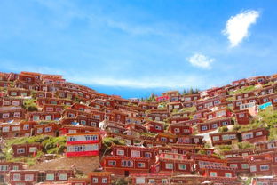 三、住宿——远离繁忙，寻找安宁之所？
