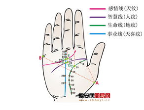 结合手相与风水：两者怎样互补？