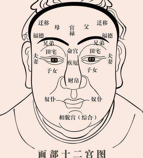 2. 鼻子尖得能当凶器