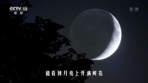 一、  寂静的夜晚，一丝不详的预感