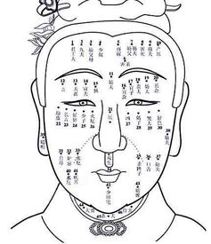 男人31颗牙面相命运如何，八字牙好看吗？面相影响命运吗？