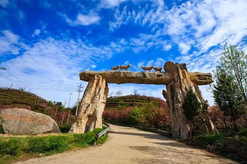 四明山杖锡段：石头会唱歌