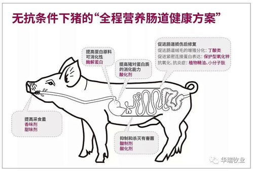 健康运：养生达人or医院常客？