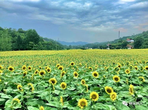 一、 沈阳亲子游乐园推荐