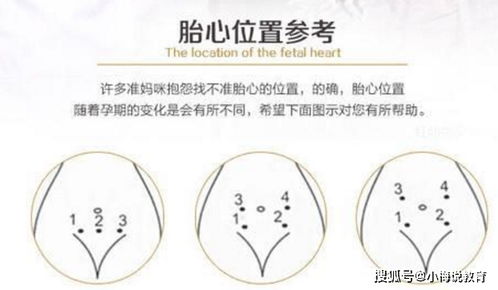 避开人体的器官的字眼