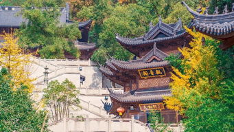 A. 百岁山郊野公园（周溪村）