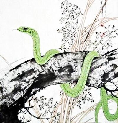 2026年属蛇会犯什么太岁以及遭遇哪些凶星？