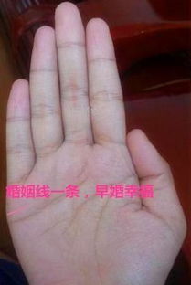 1.2 两条甚至多条并行的奇怪组合