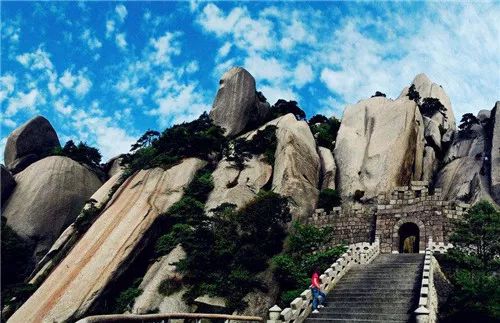 天柱山野生猴成精了 会抢手机扫码收