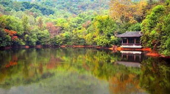 震惊！2026年去半山公园居然要这样玩？！看完第5条我直接裂开了...