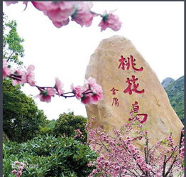夜游桃花岛必去的5个坑爹景点
