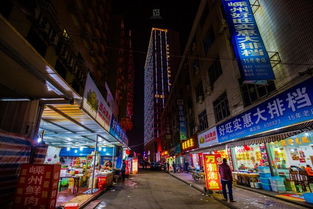 秦王宫：你家隔壁五金店都能造出来的