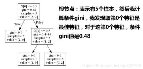 如何专业靠谱地学习算生辰八字的详细流程？