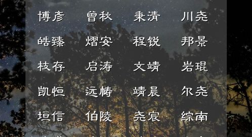 二、国学经典篇：诗词画卷中的墨香馨语