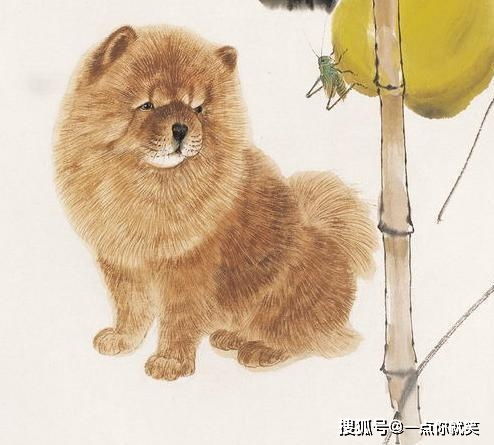2026年1月9日吉日：属兔相冲，属狗相刑，宜嫁娶、出行
