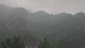 神秘来客