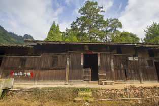 观山村：网红们都在打卡的宝藏之地