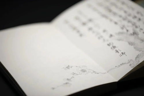 那本日记到底写了些啥见不得人的