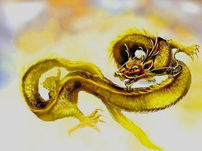 三、龙腾天河？我看是龙掉水沟！