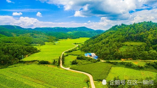 春二月野外风光正茂，以生肖命名，这风光对应的生肖是什么？