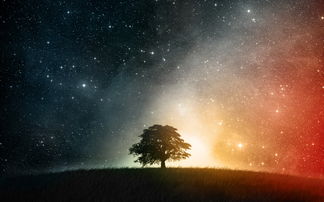 命理玄学：星字是不是真实有魔力？