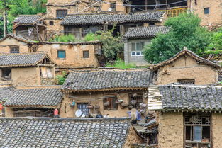 大汖古村：一场精心设计的乡村骗局