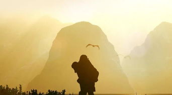 父爱如山——深山洞穴的谜团