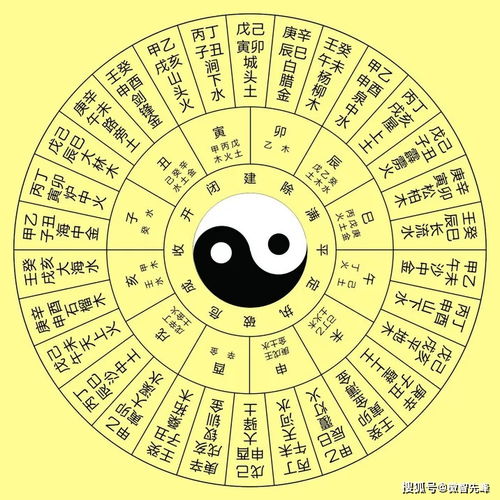 八字中财克印，官星会克制哪一五行元素？