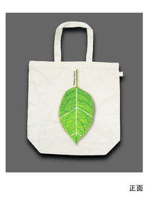 疯狂案例：绿色足迹公司的逆袭