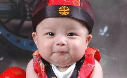 1. 生肖元素的优雅之选