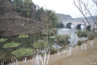 3. 国际園林秀區 : 世界園林 的花園