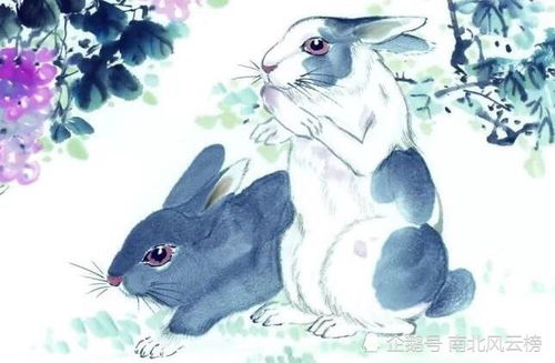 未来10年里哪些生肖将顺水顺风，迎来人生高峰？