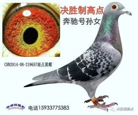 二、风水视角：耻骨宽不宽决定命运！