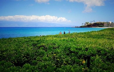 海滩风情：悠闲的夏日时光