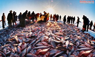 #隐藏捷径# 九台小路 15km “作弊码”