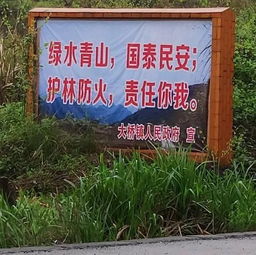 现代农村清明：绿色祭祀，生态扫墓，文明祭祖新风尚