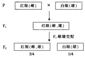 二、 风水因素：神秘的力量